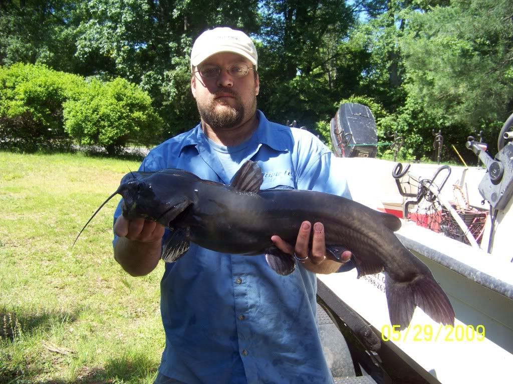 Pretty decent Lake Lanier Channel Catfish The United States Catfish
